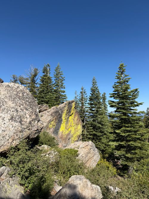 Free Peaceful mountain scene featuring evergreen trees and rocky terrain under a clear blue sky. Stock Photo