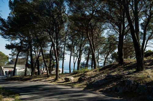 Free A serene forest path with coastal views in Toulon, capturing tranquility and natural beauty. Stock Photo
