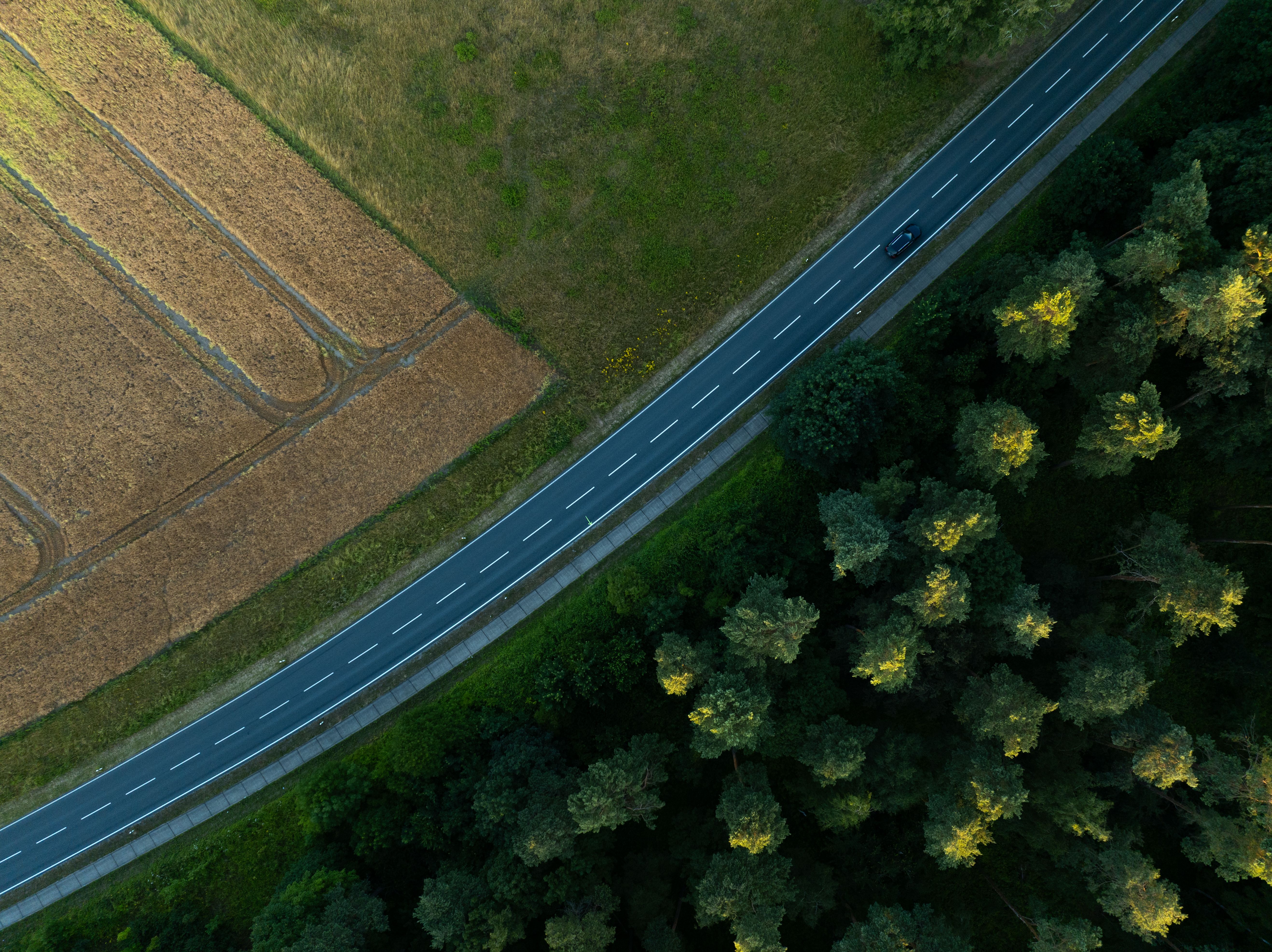 evs explained sustainability — Photo by Robin Heidrich on Pexels