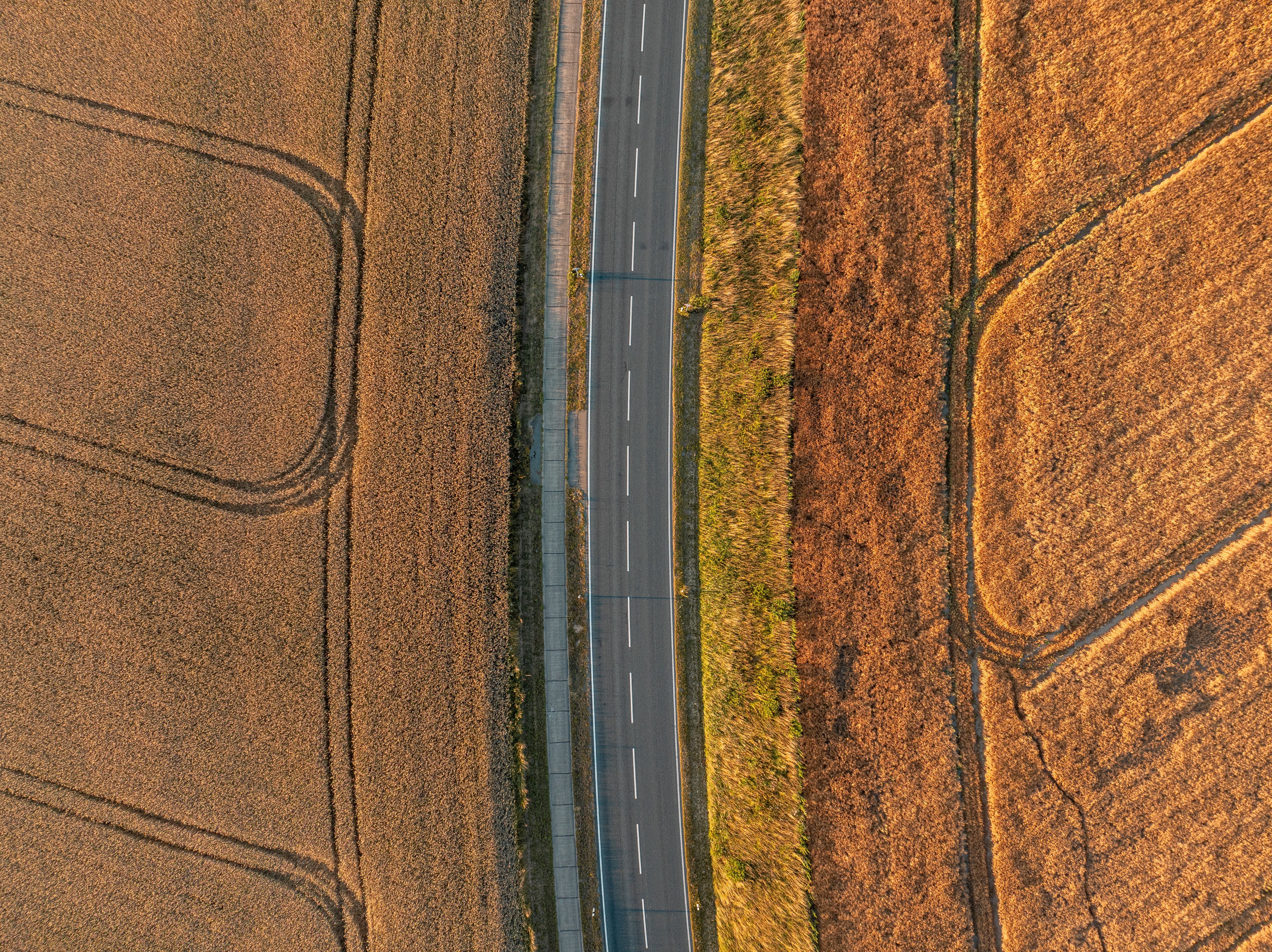 Fusão de dados espectrais e altura do dossel por drone melhora estimativa de biomassa do trigo