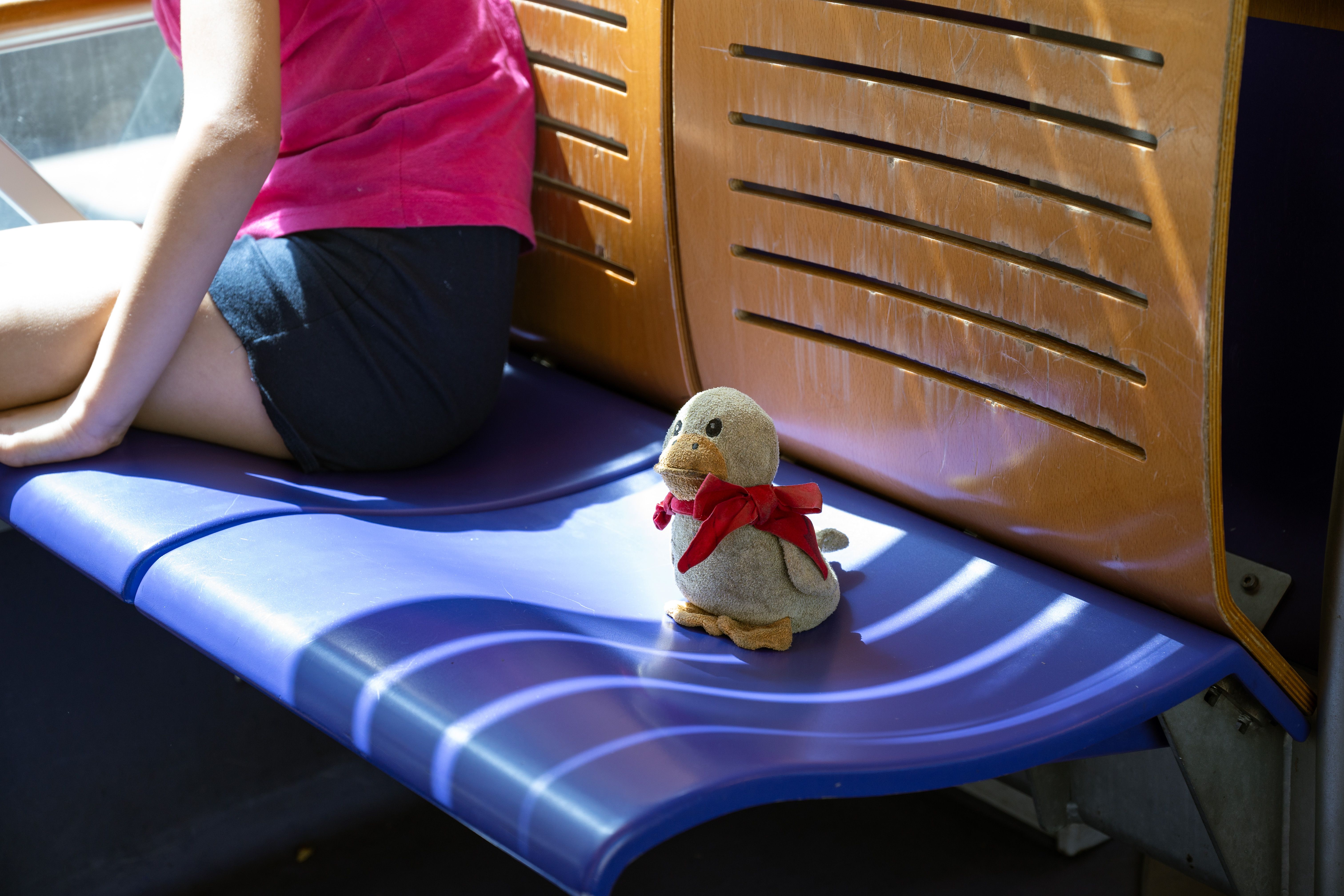 A child in casual wear sits beside a cute toy duck on a train seat, bathed in sunlight.