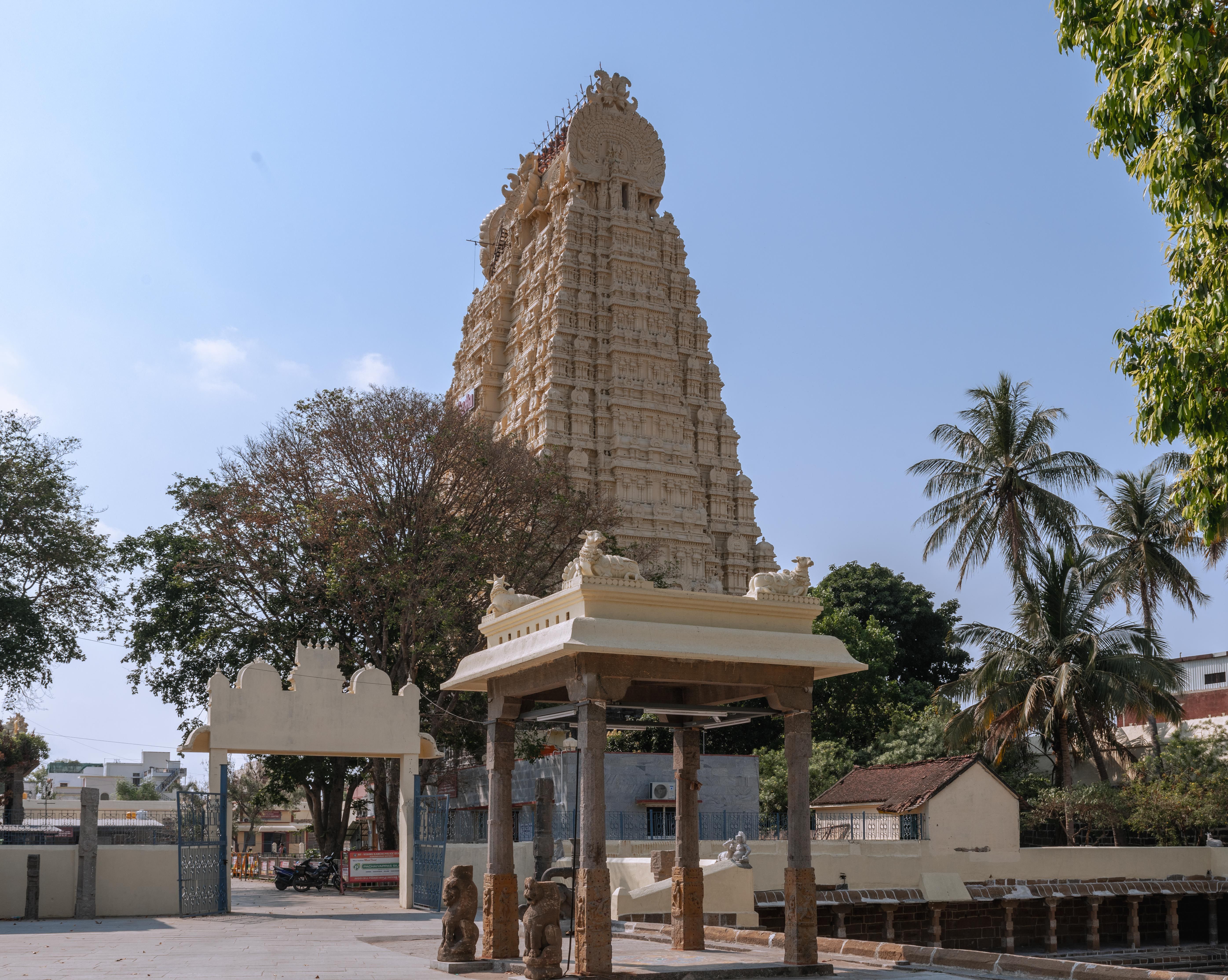 A stunning view of the historic temple tower amidst lush greenery in Kanchipuram, Tamil Nadu, India.