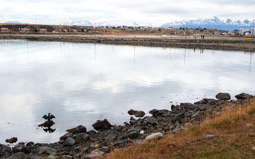 Free Calm waterfront scene in Ushuaia, Argentina, with mountains and a lone bird, capturing the serene beauty of Tierra del Fuego. Stock Photo