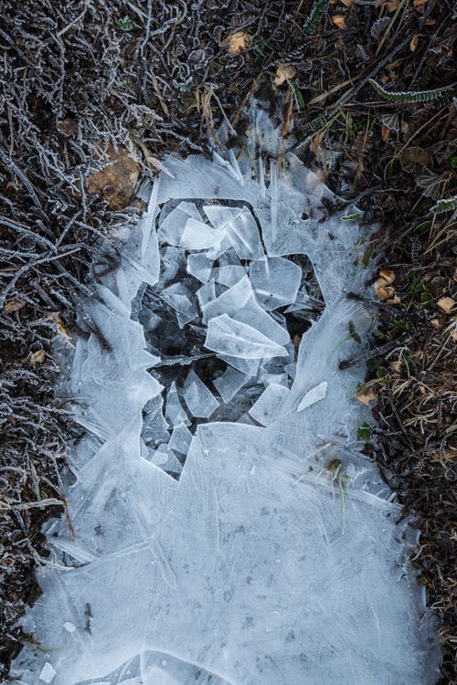 Free A striking frozen ice formation amidst grass in Ushuaia, Argentina, showcasing winter's beauty. Stock Photo