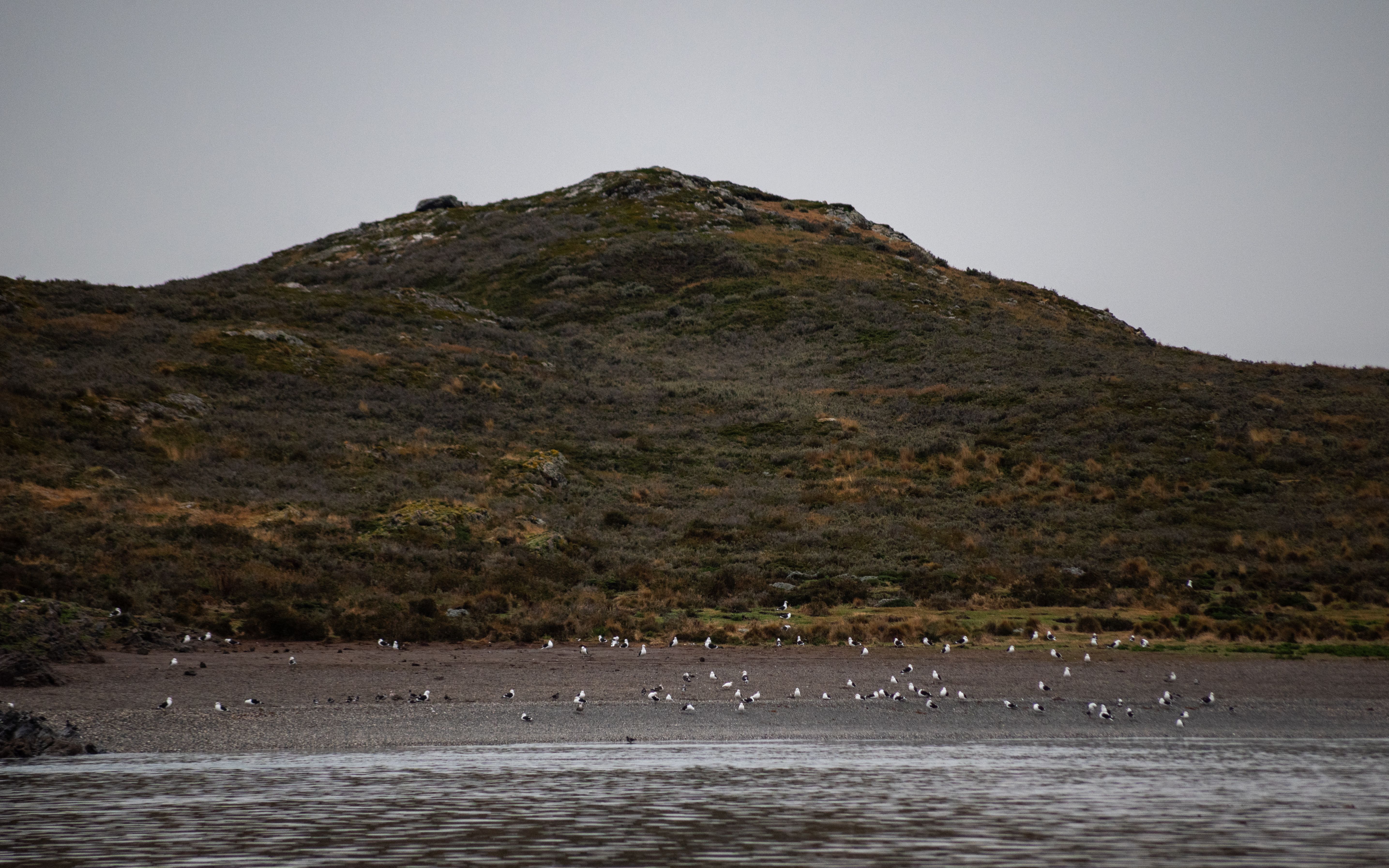 The Aven Estuary Walk to Port-Manech