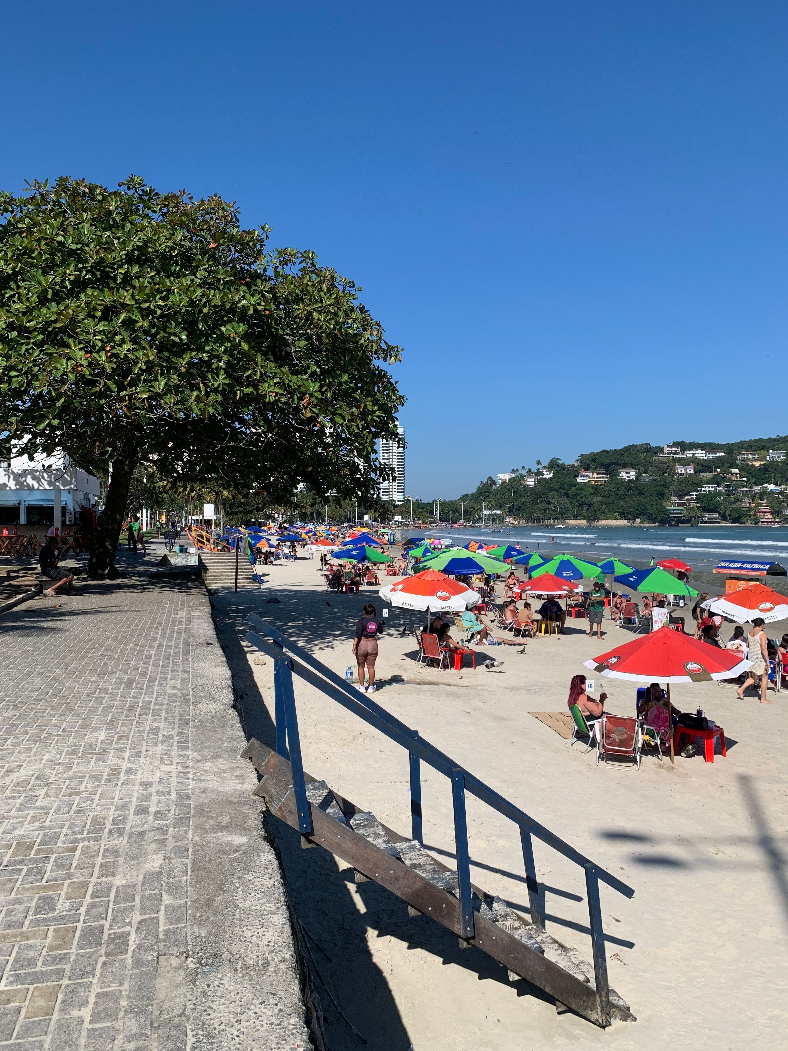 Il Festival Enseada porta tre giorni di creazione artistica a Funchal