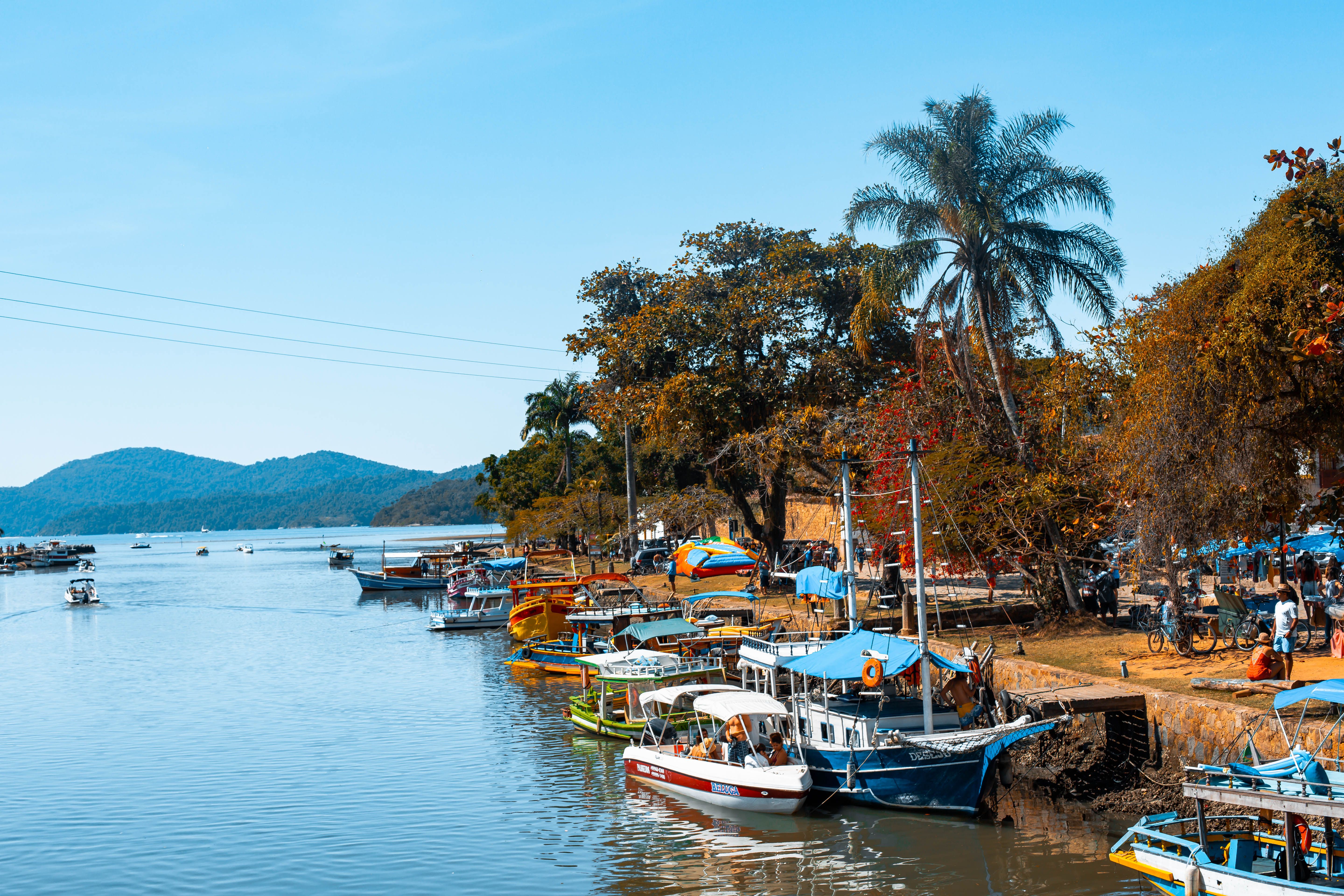 Beautiful summer scene of vibrant boats docked along a picturesque riverside with tropical trees.