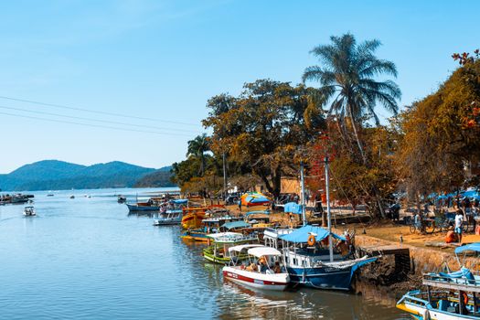 Beautiful summer scene of vibrant boats docked along a picturesque riverside with tropical trees.