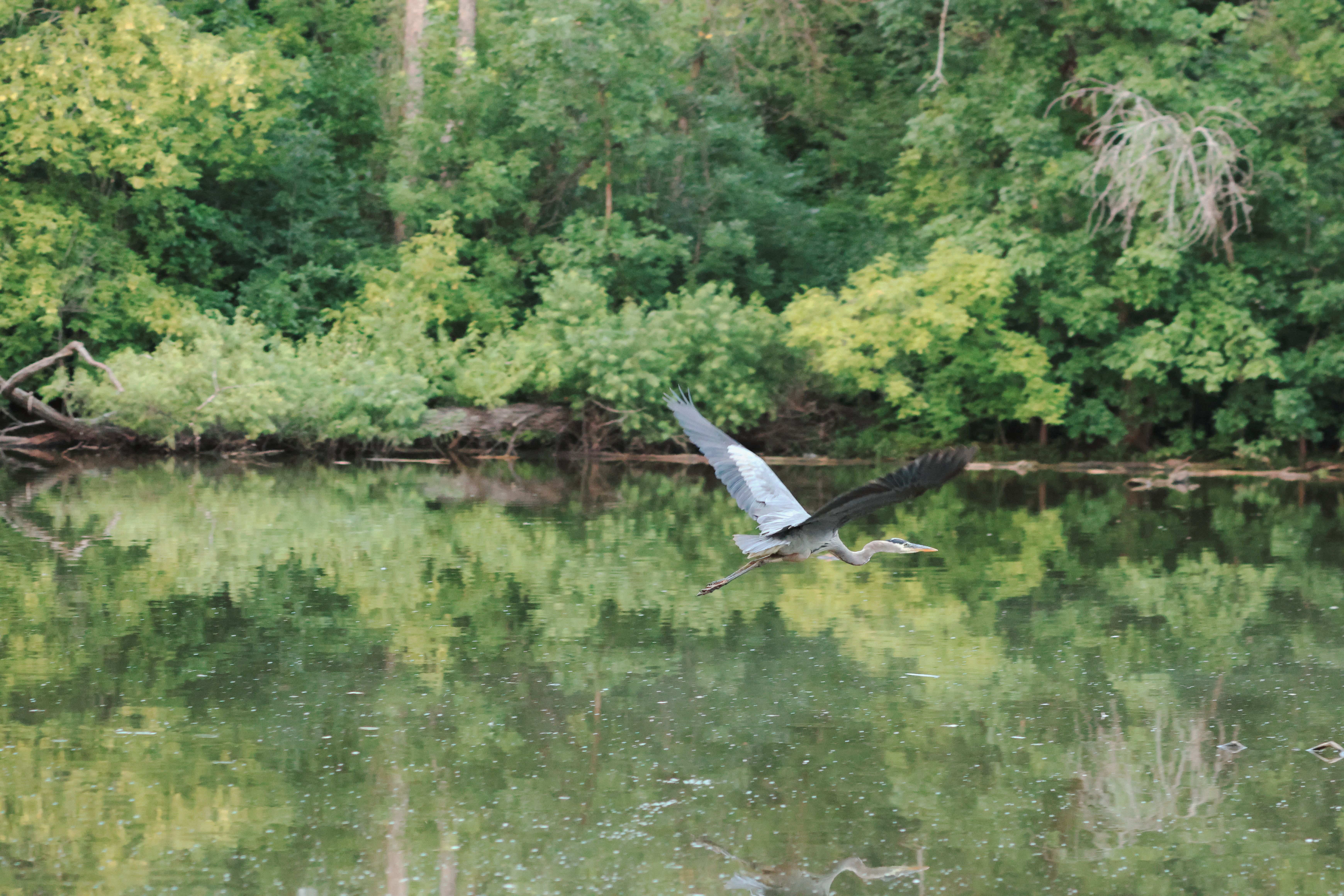 Great Parks of Hamilton County host annual kids outdoor adventure expo - FOX19 — Photo by Jordan Heinz on Pexels