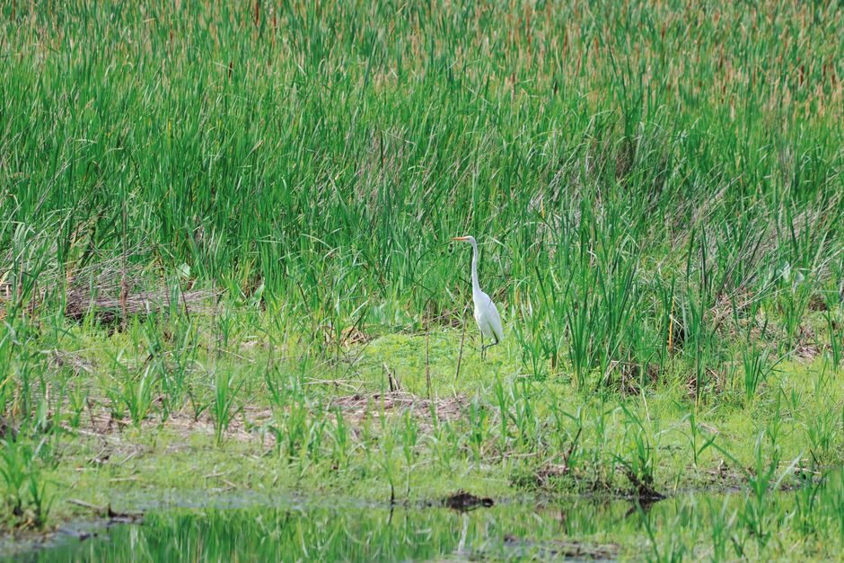 A Nature-Focused Half-Day things to do in miramar