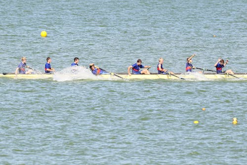 Free stock photo of rowing x win