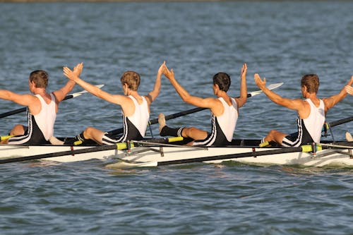 Free stock photo of rowing