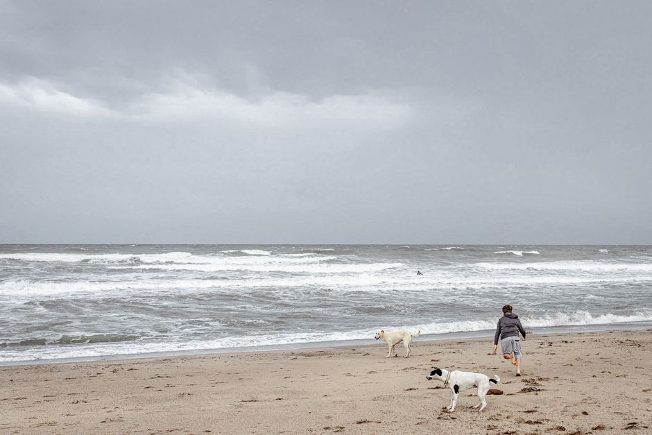 A man with two dogs runs along a cloudy, windswept beach with crashing waves.