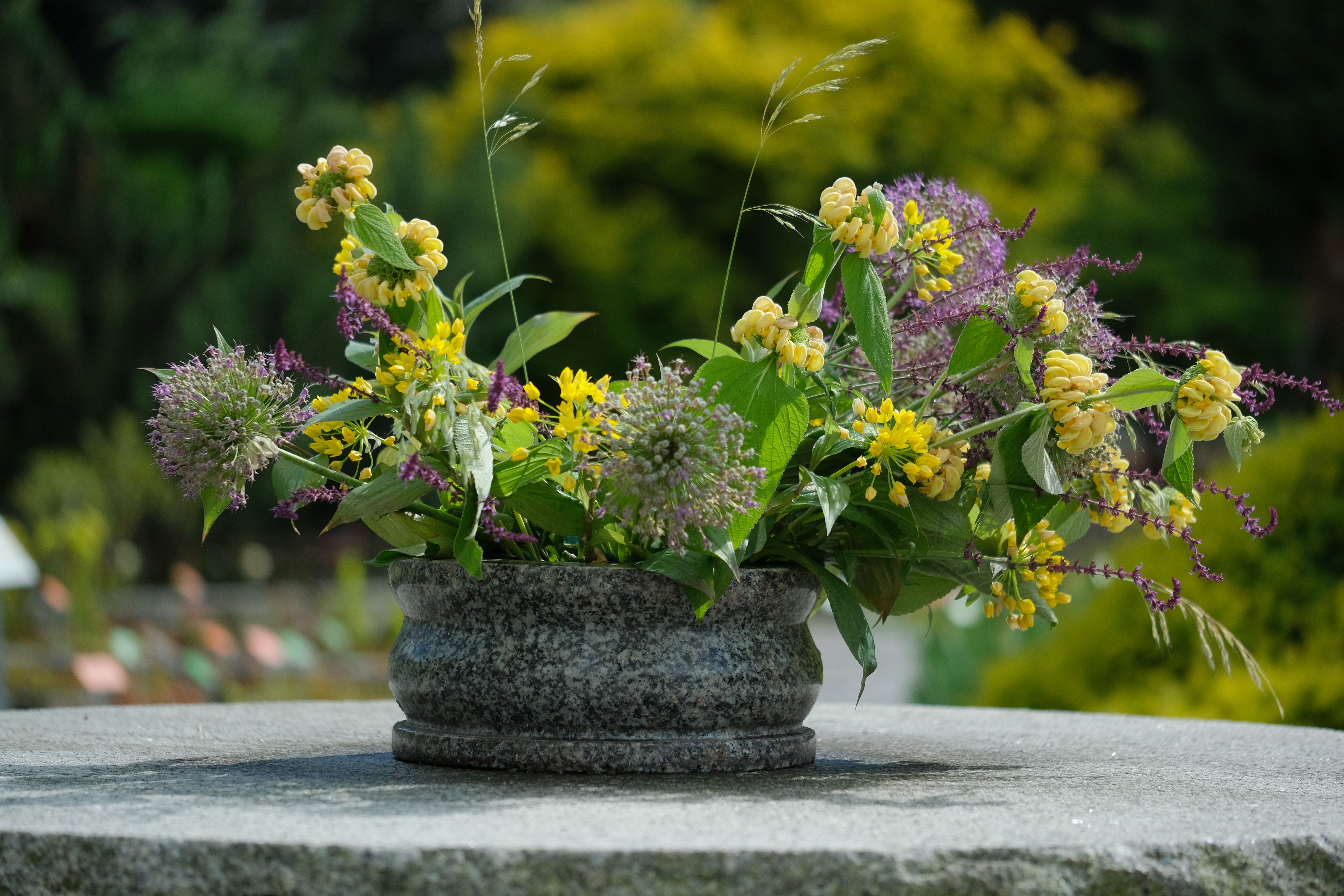 Cestino con fiori freschi e fogliame