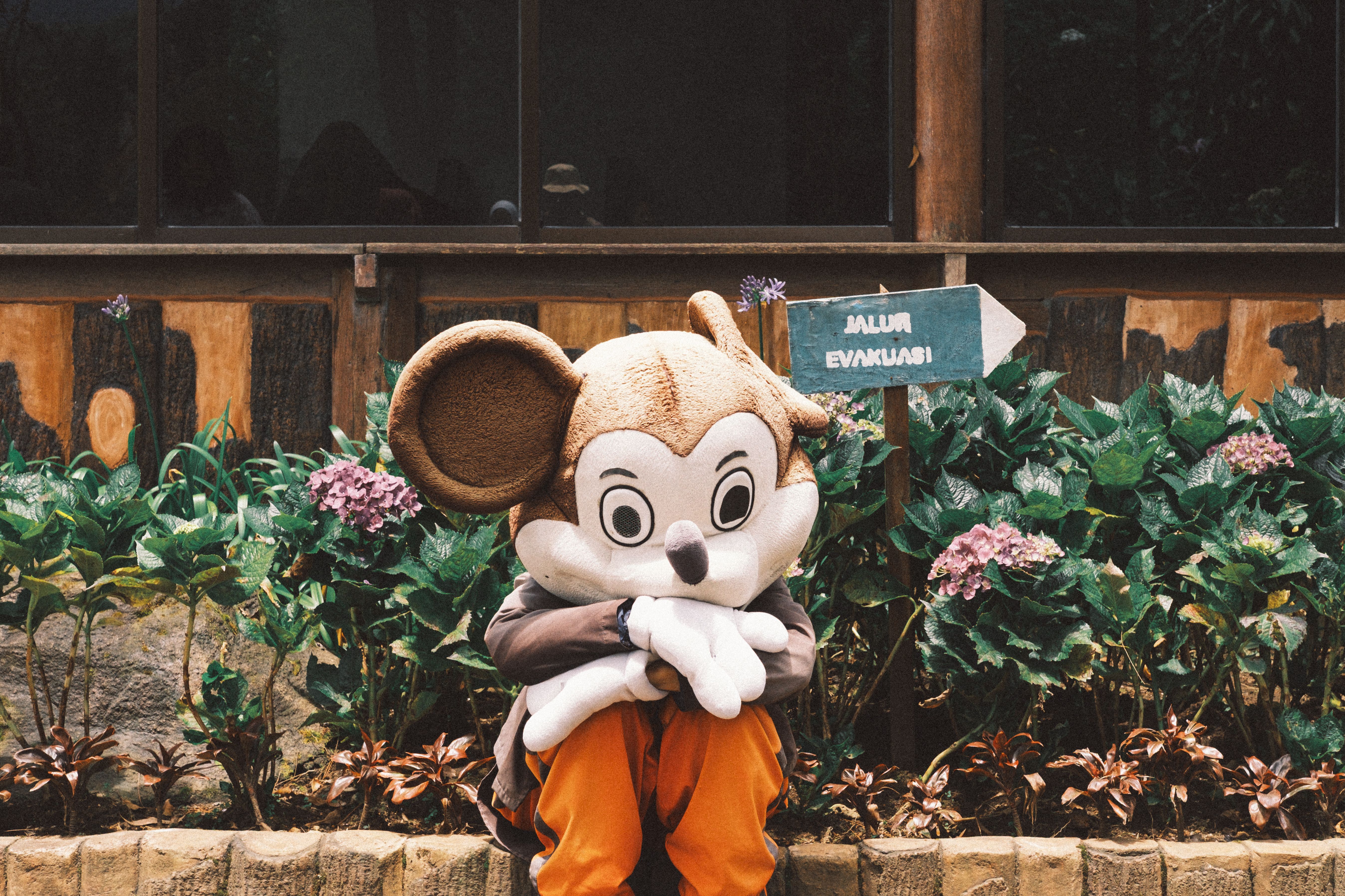 A character in a large mascot costume sits amidst green foliage and a wooden background outdoors.