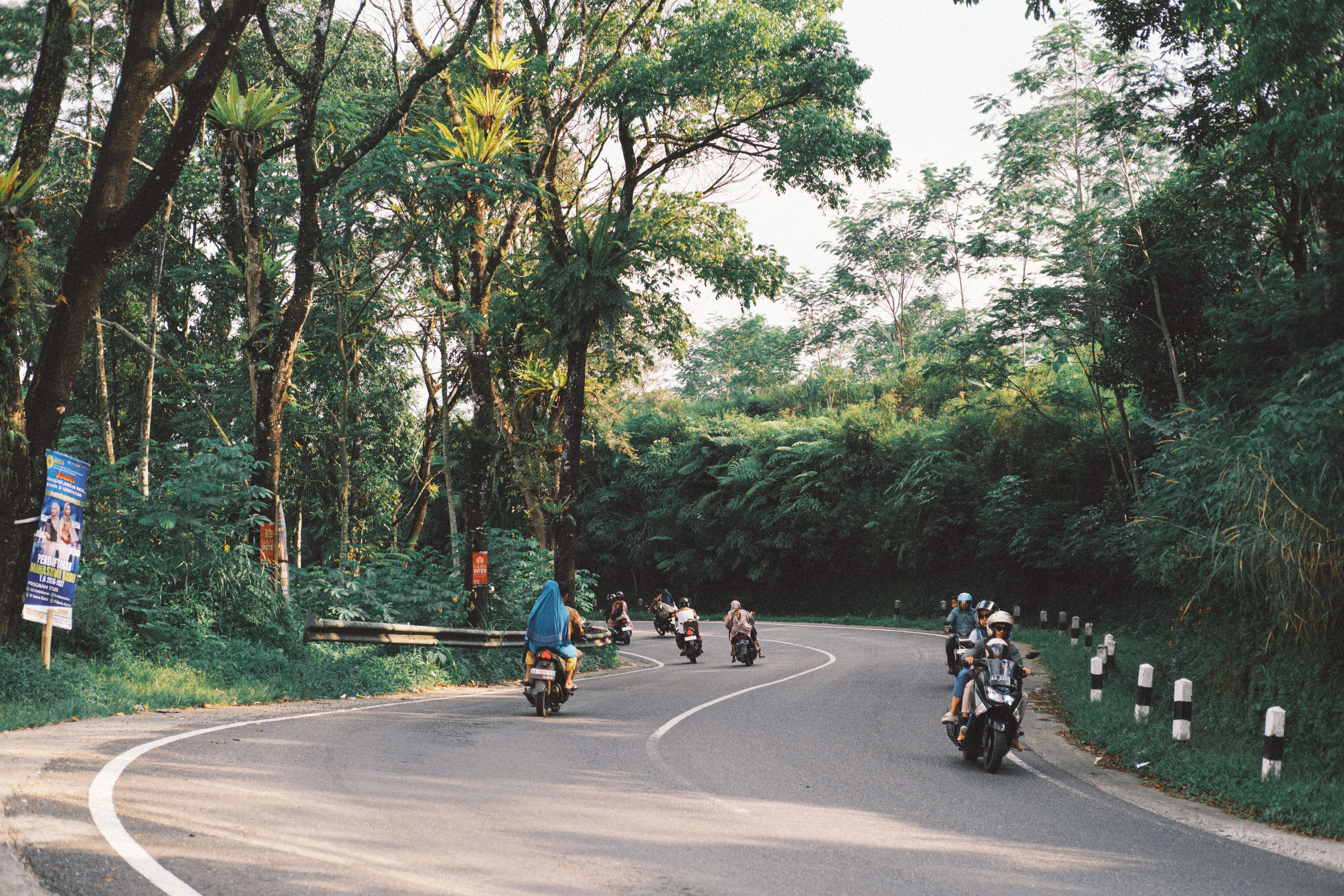 Motorcyclists navigate a scenic road flanked by lush greenery and tall trees, creating a picturesque travel scene.