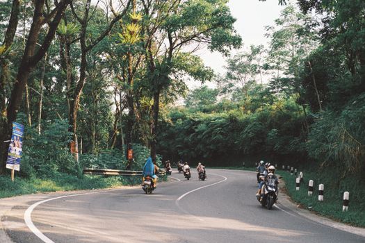 Motorcyclists navigate a scenic road flanked by lush greenery and tall trees, creating a picturesque travel scene.