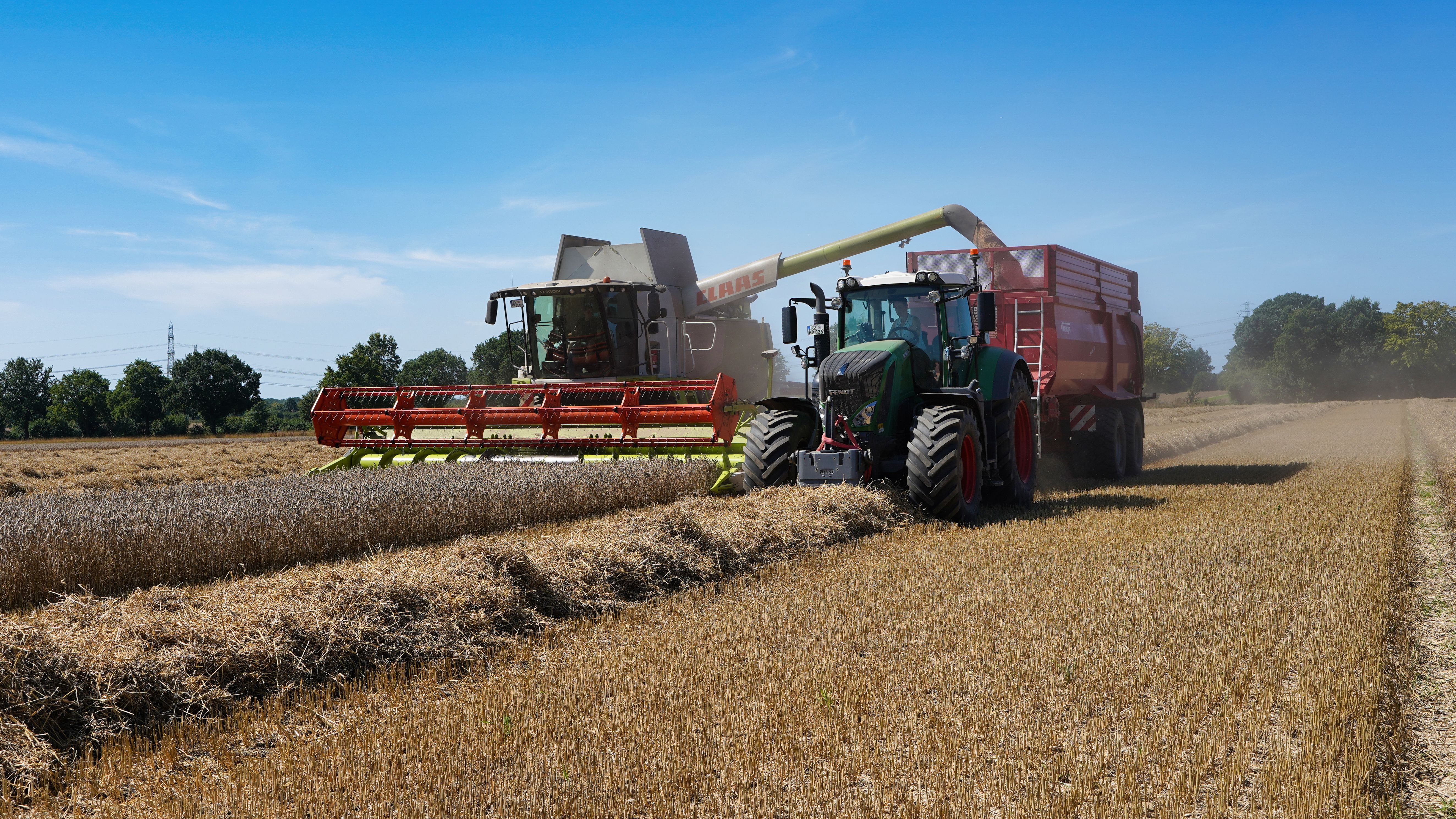 Insects Emerge as a Sustainable Protein Solution for Livestock Feed