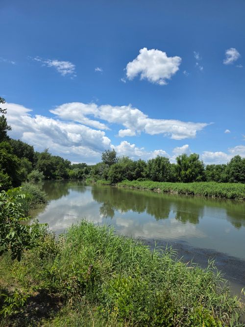 Free A tranquil river with lush greenery under a clear blue sky with fluffy clouds. Stock Photo