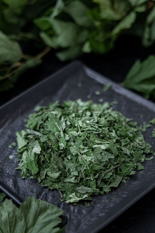 Free Close-up of dried green herbal leaves artistically displayed on a black plate. Stock Photo