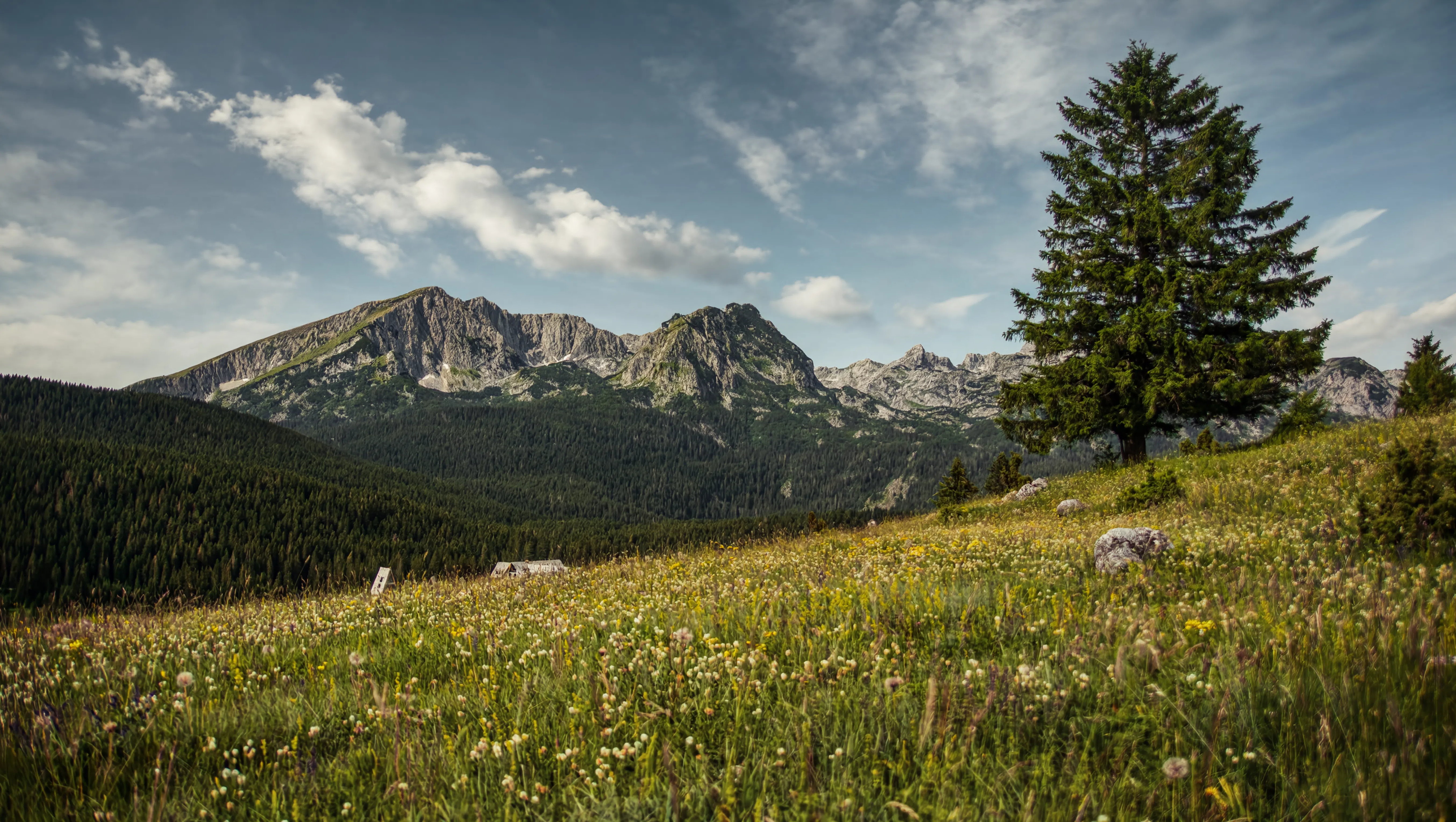 Uludağ National Park via the Bursa Teleferik