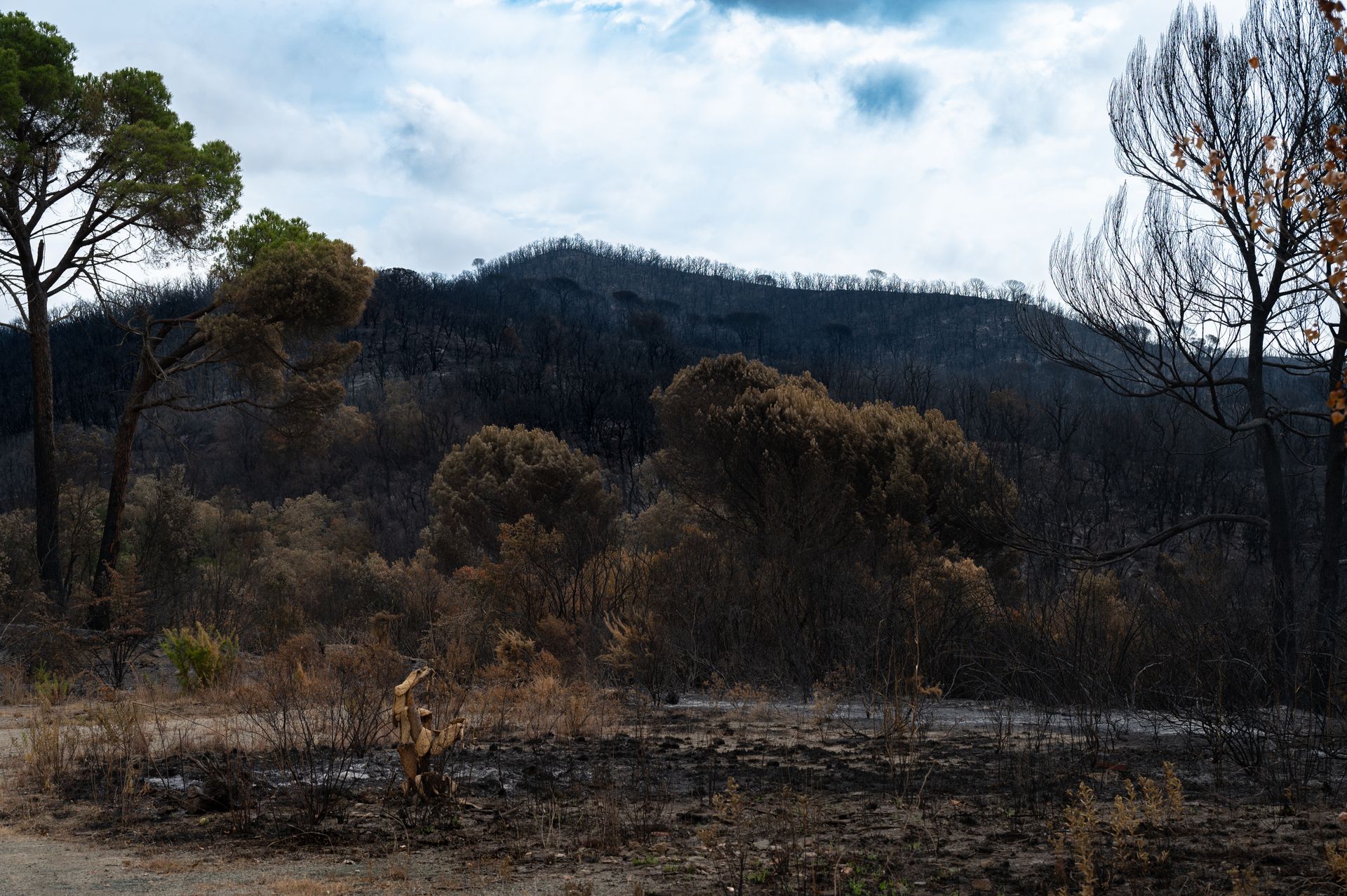 Humo de incendio forestal sobre una colina seca