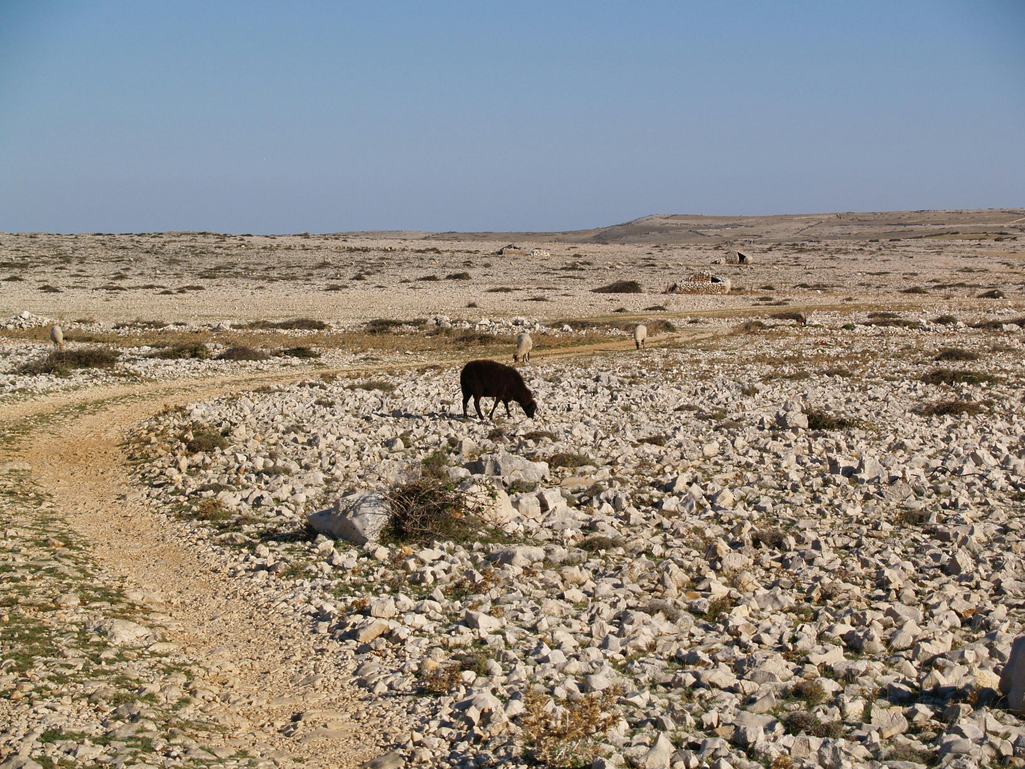 Engineer using a multimeter to test a circuit board for diagnostics
