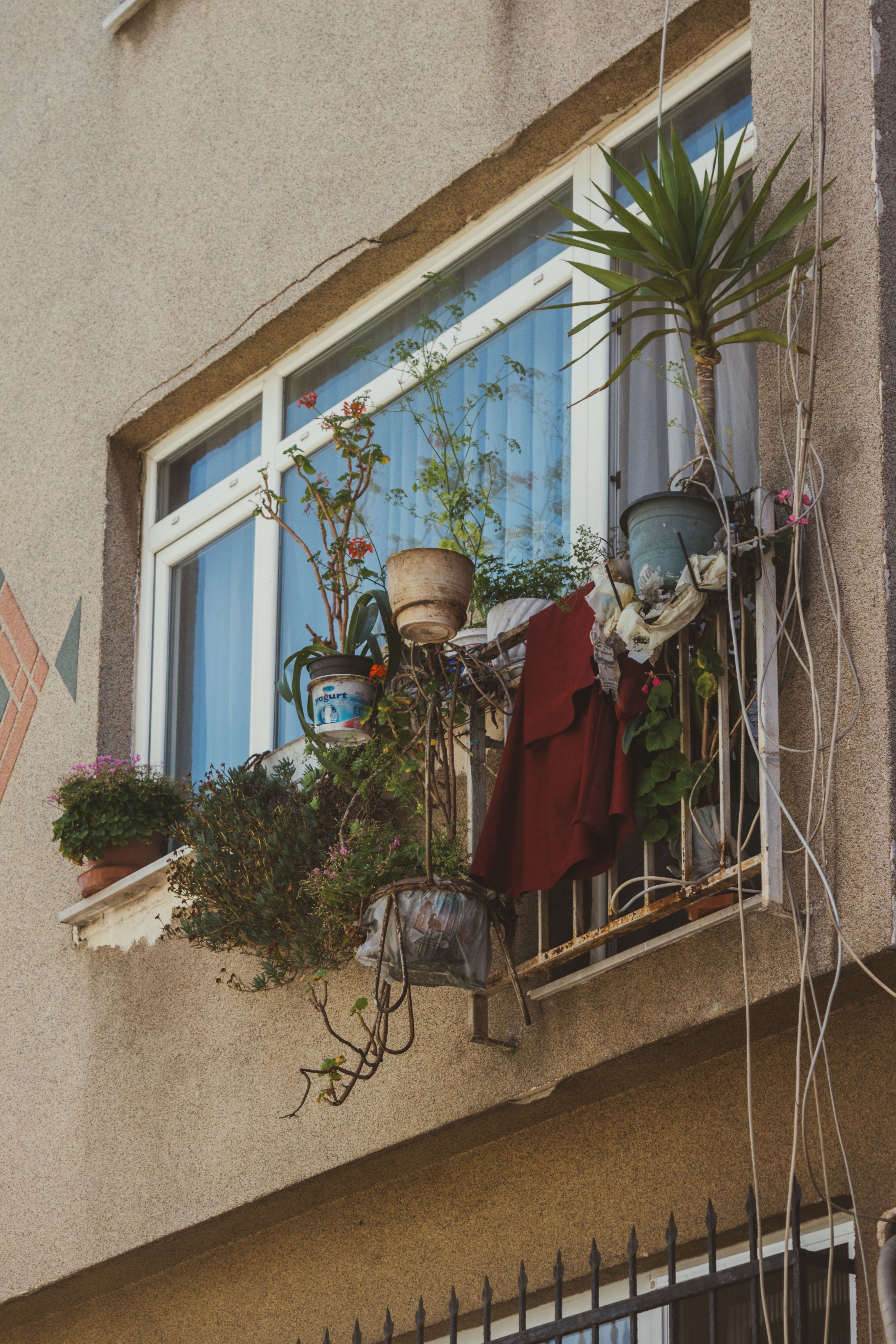 A variety of potted plants adorn an urban balcony, adding greenery to the concrete facade.