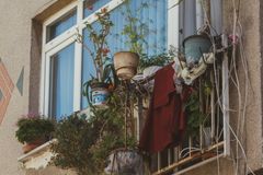A variety of potted plants adorn an urban balcony, adding greenery to the concrete facade.
