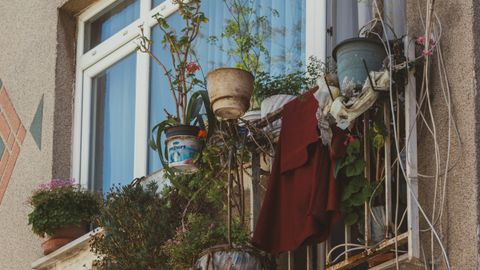 A variety of potted plants adorn an urban balcony, adding greenery to the concrete facade.