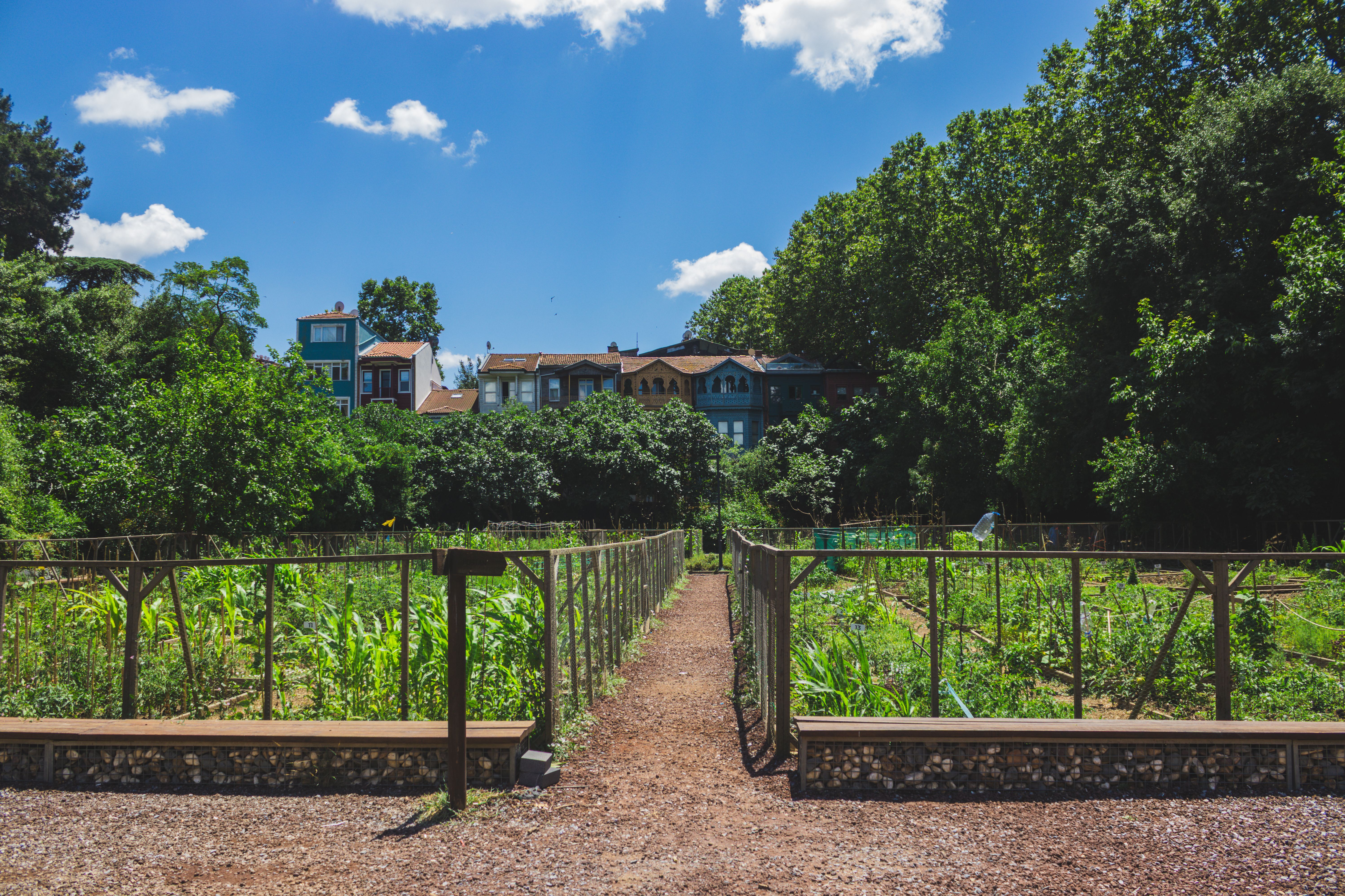 Gartenweg zwischen gepflegten Beeten