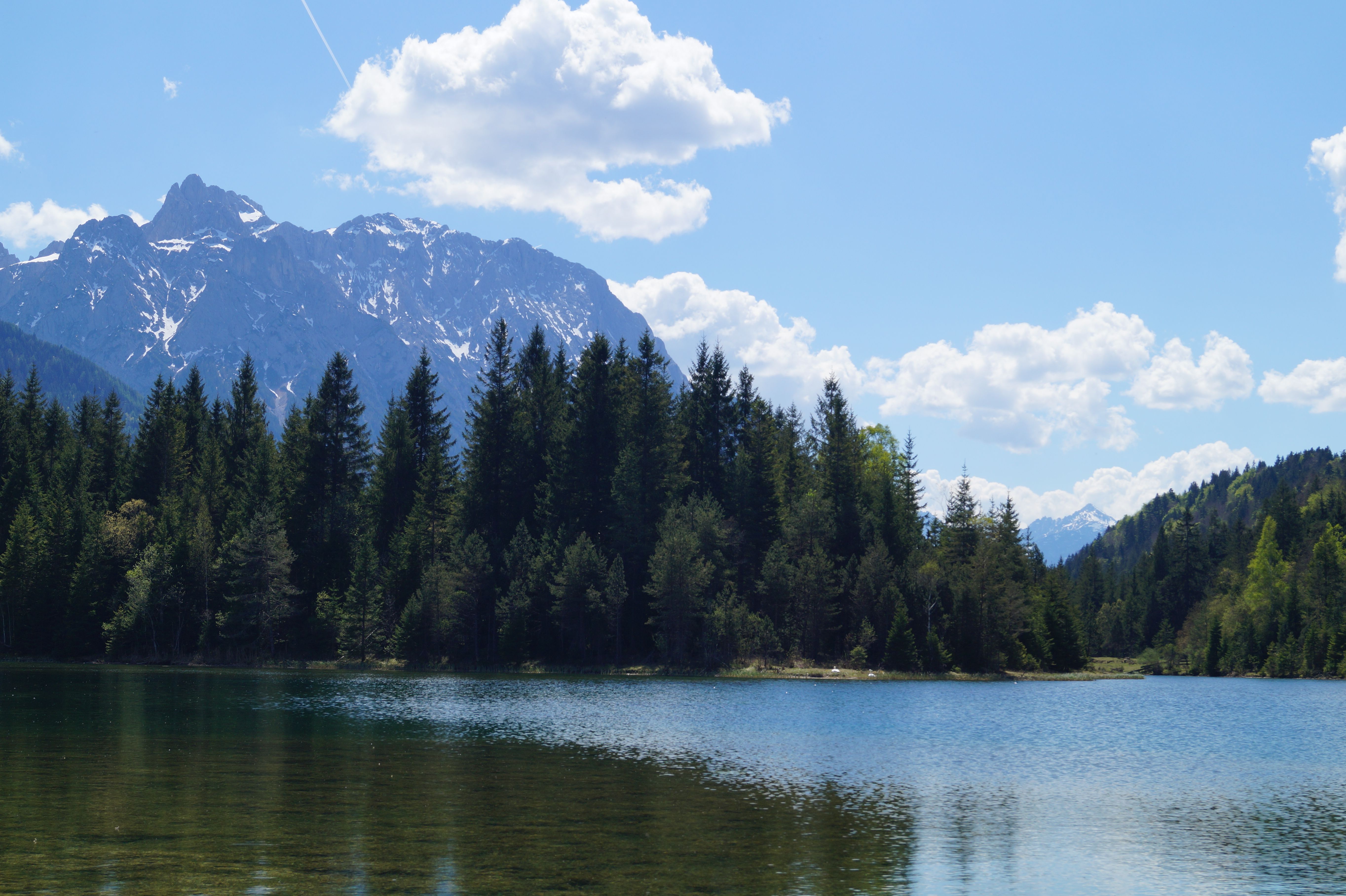 Bergsee mit Waldumgebung