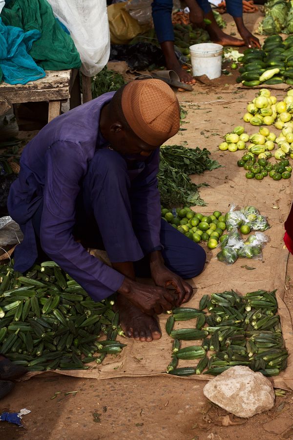 Value Addition: From Farm to Market — Green Revolution Farmers
