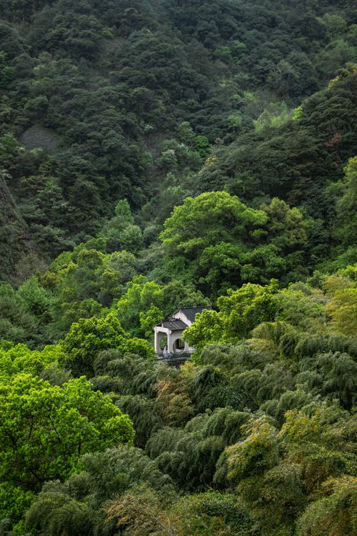 Free A tranquil house nestled in vibrant green mountains, offering peace and isolation. Stock Photo