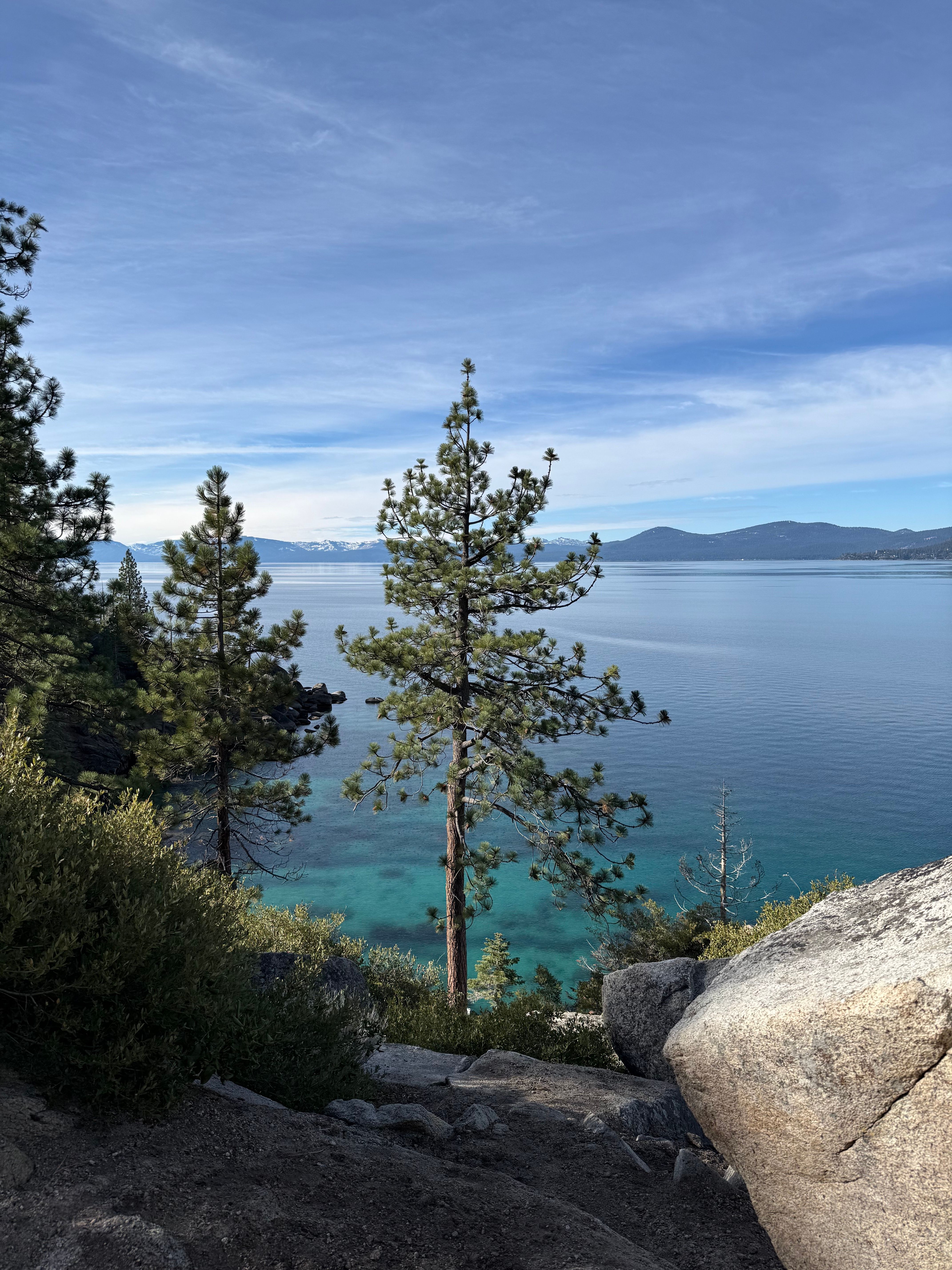 A serene view of Lake Tahoe surrounded by pine trees and mountains under a clear sky.