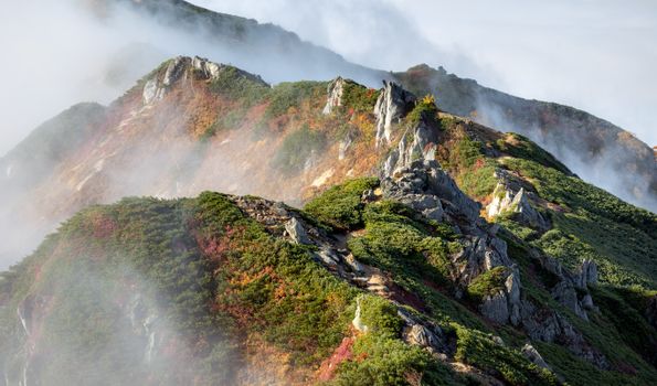 Breathtaking view of the Japanese Alps in autumn, featuring lush foliage and rugged cliffs shrouded in mist.