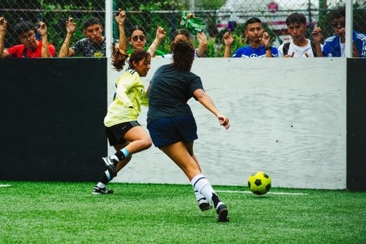 Dynamic action shot of women playing soccer in Ciudad de México with engaged spectators.