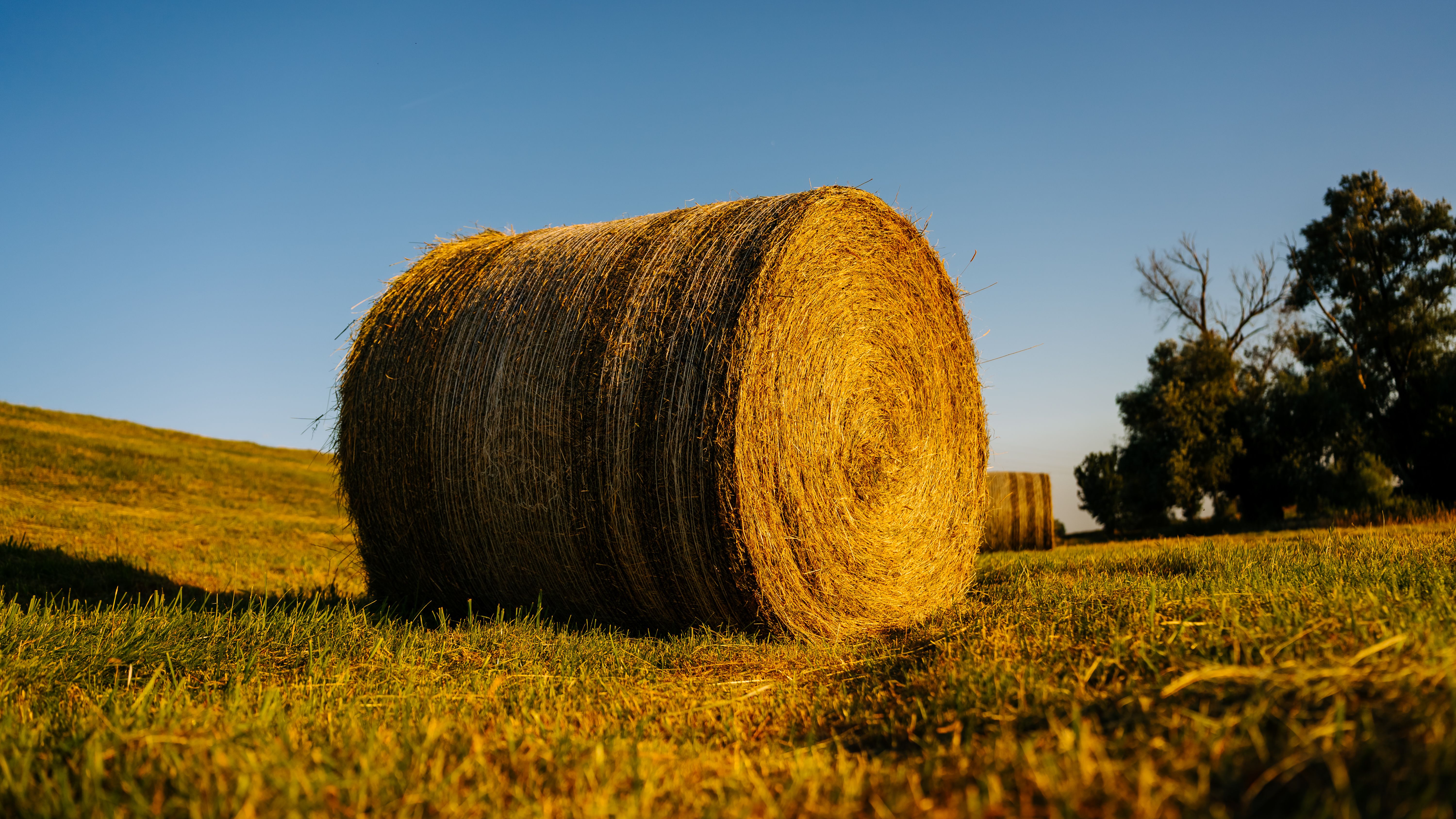 Sunlit hay bale on a farm in Lower Saxony, Germany during summer.
