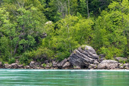 Free Scenic view of a vibrant green forest along a calm riverbank, perfect for nature lovers. Stock Photo