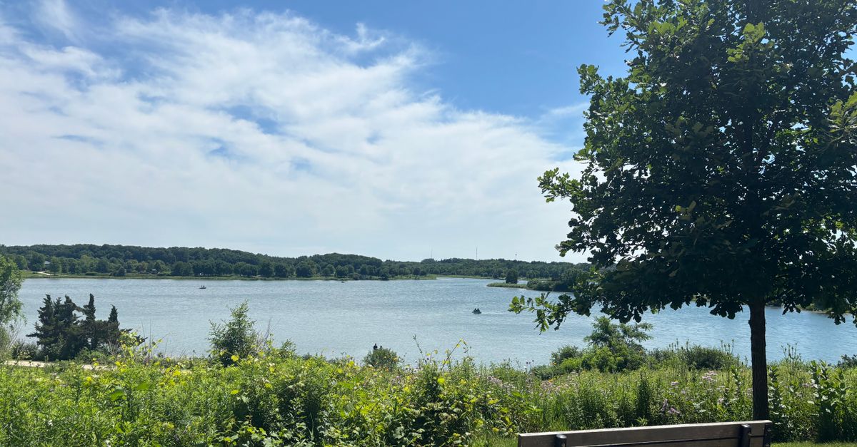 Peaceful summer scene at a lakeside park with a lone bench and clear blue skies.