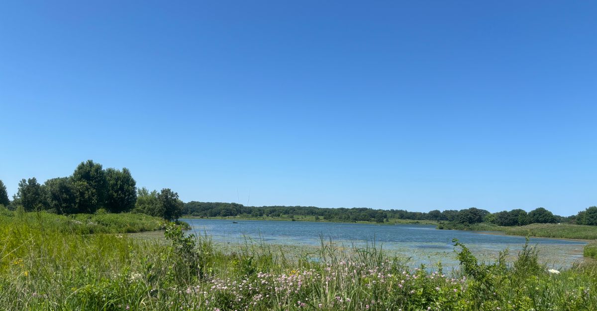 A scenic view of a serene lake surrounded by lush greenery under a clear blue sky.