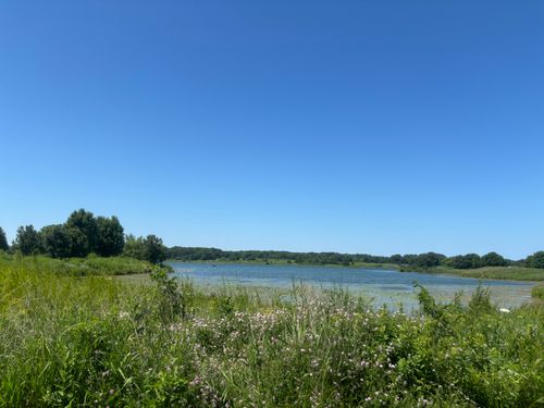 Free A scenic view of a serene lake surrounded by lush greenery under a clear blue sky. Stock Photo