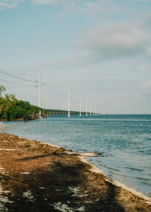 Free Picturesque Florida coastline with power lines stretching into the horizon on a sunny day. Stock Photo