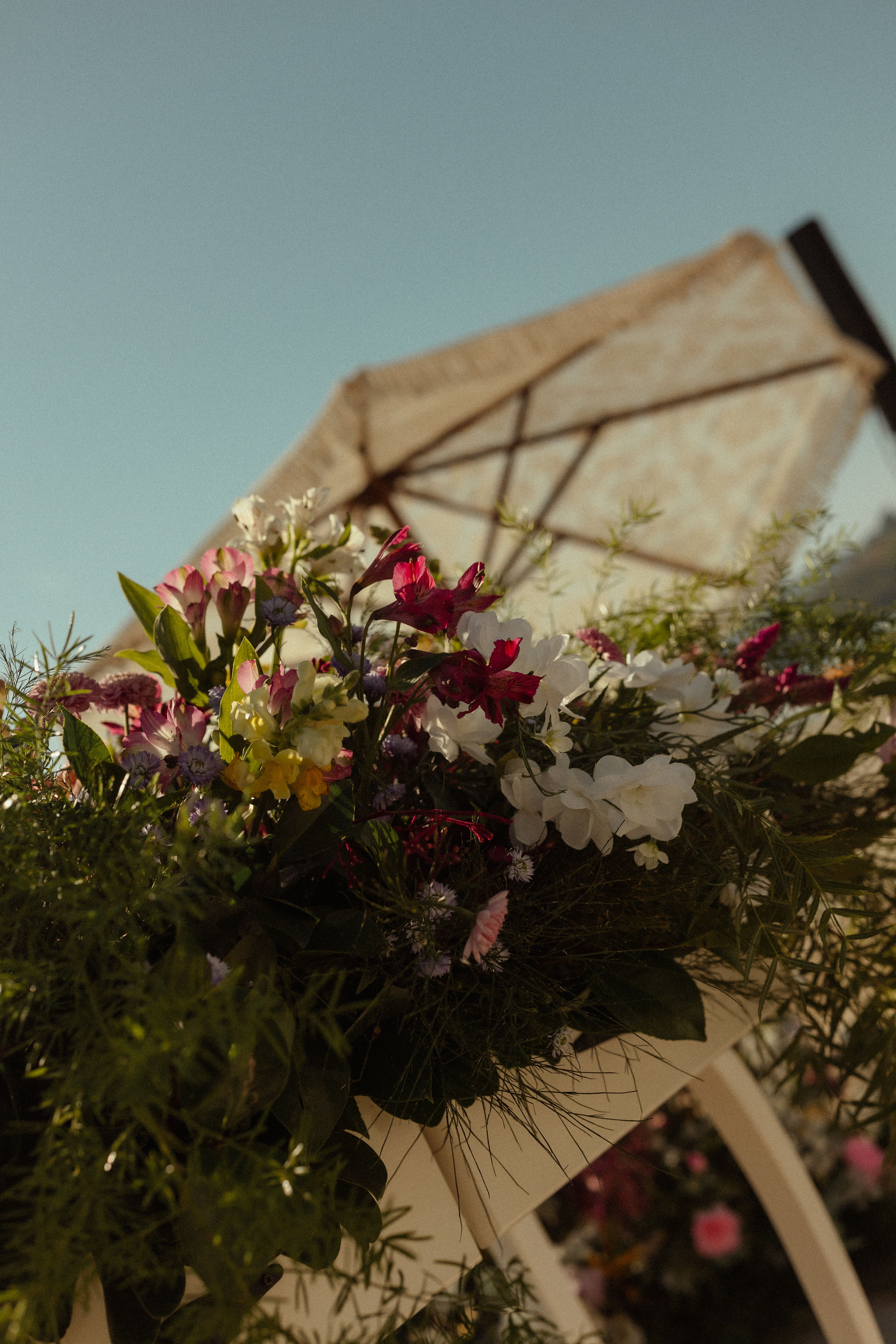 [ColoSach]-a-vibrant-bouquet-of-flowers-with-lush-green-leaves-against-a-clear-blue-sky,-highlighting-nature's-beauty.
