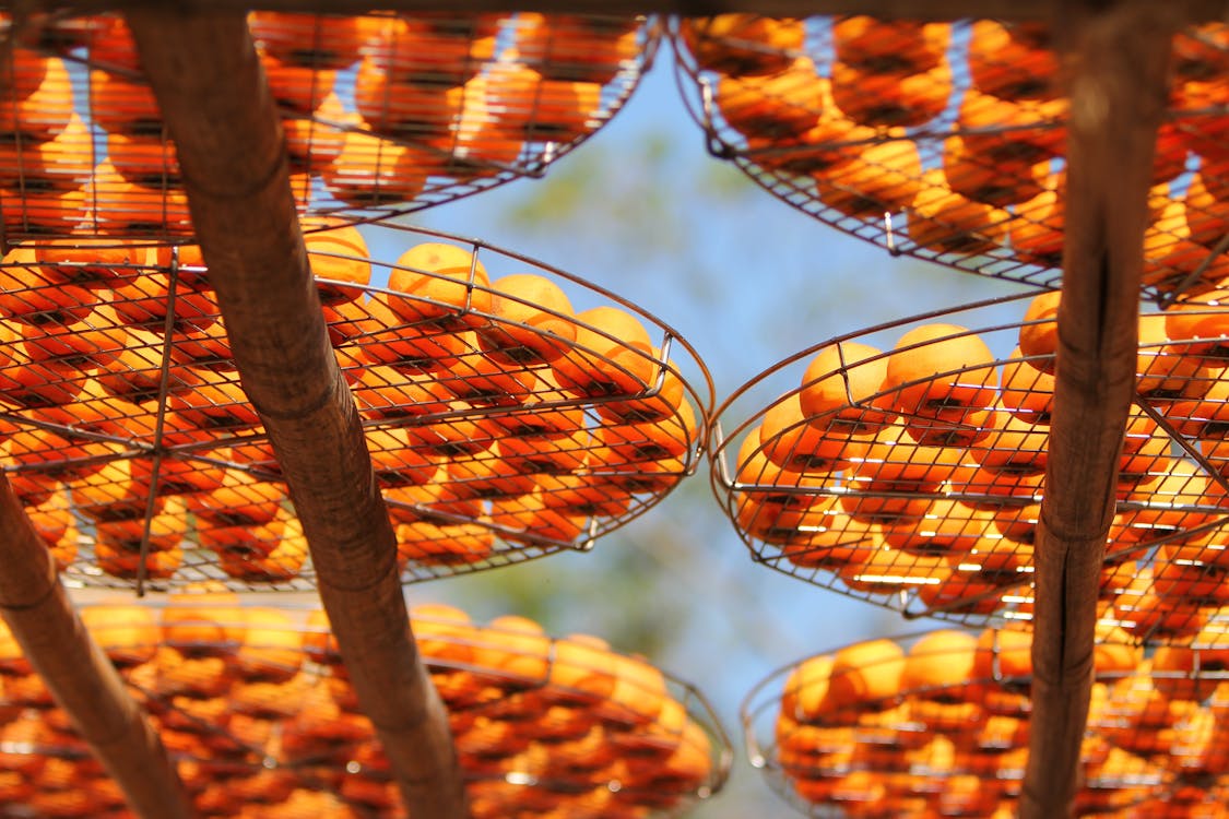 бесплатная Оранжевые круглые фрукты на черном металлическом контейнере с круглой сеткой Стоковое фото