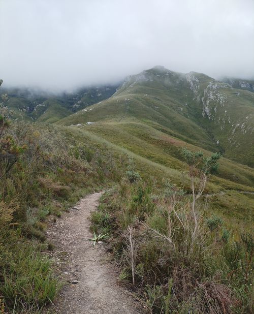 Free A misty mountain path in Western Cape, ideal for hiking and nature exploration. Stock Photo