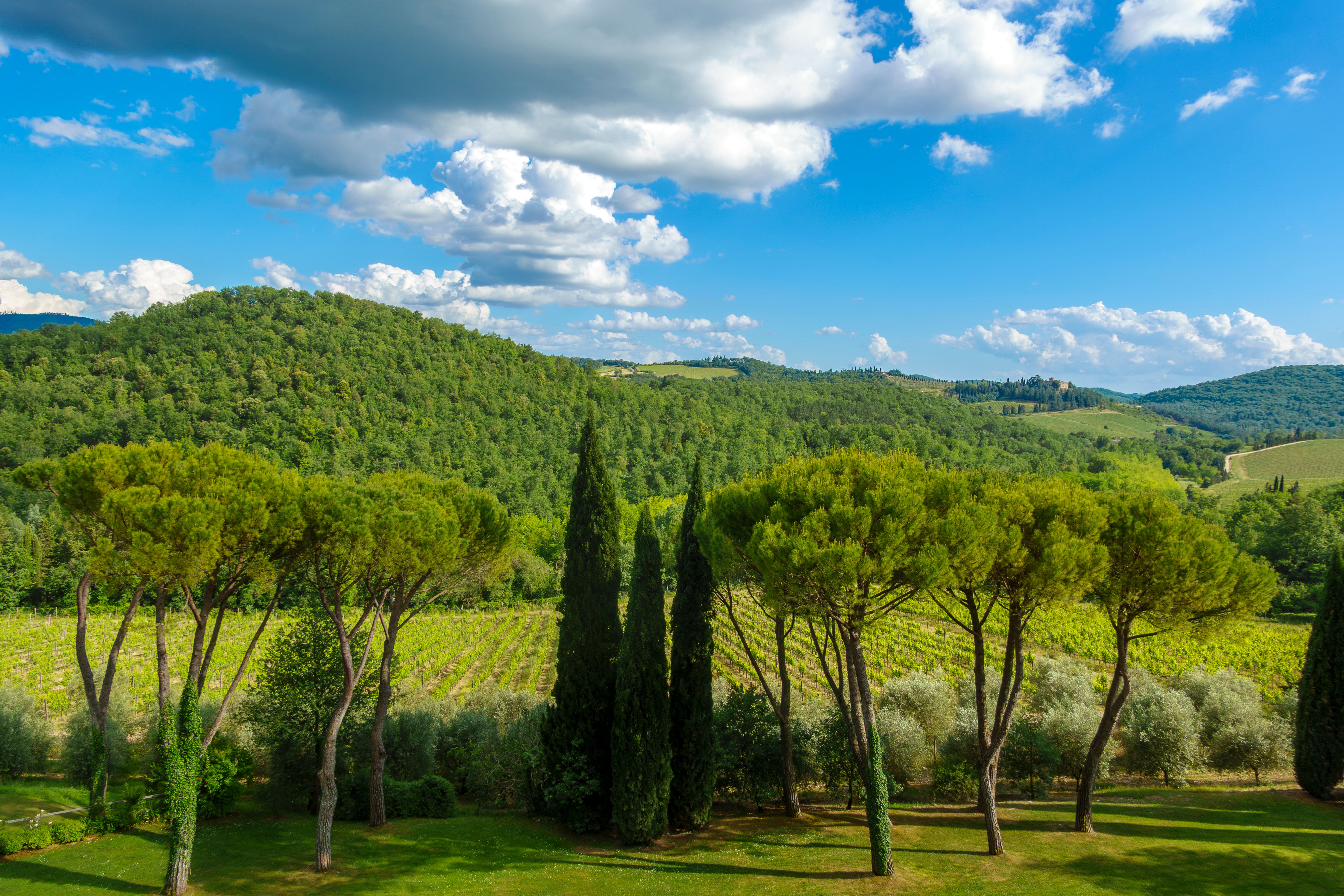 Ornellaia