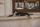 lazy cat