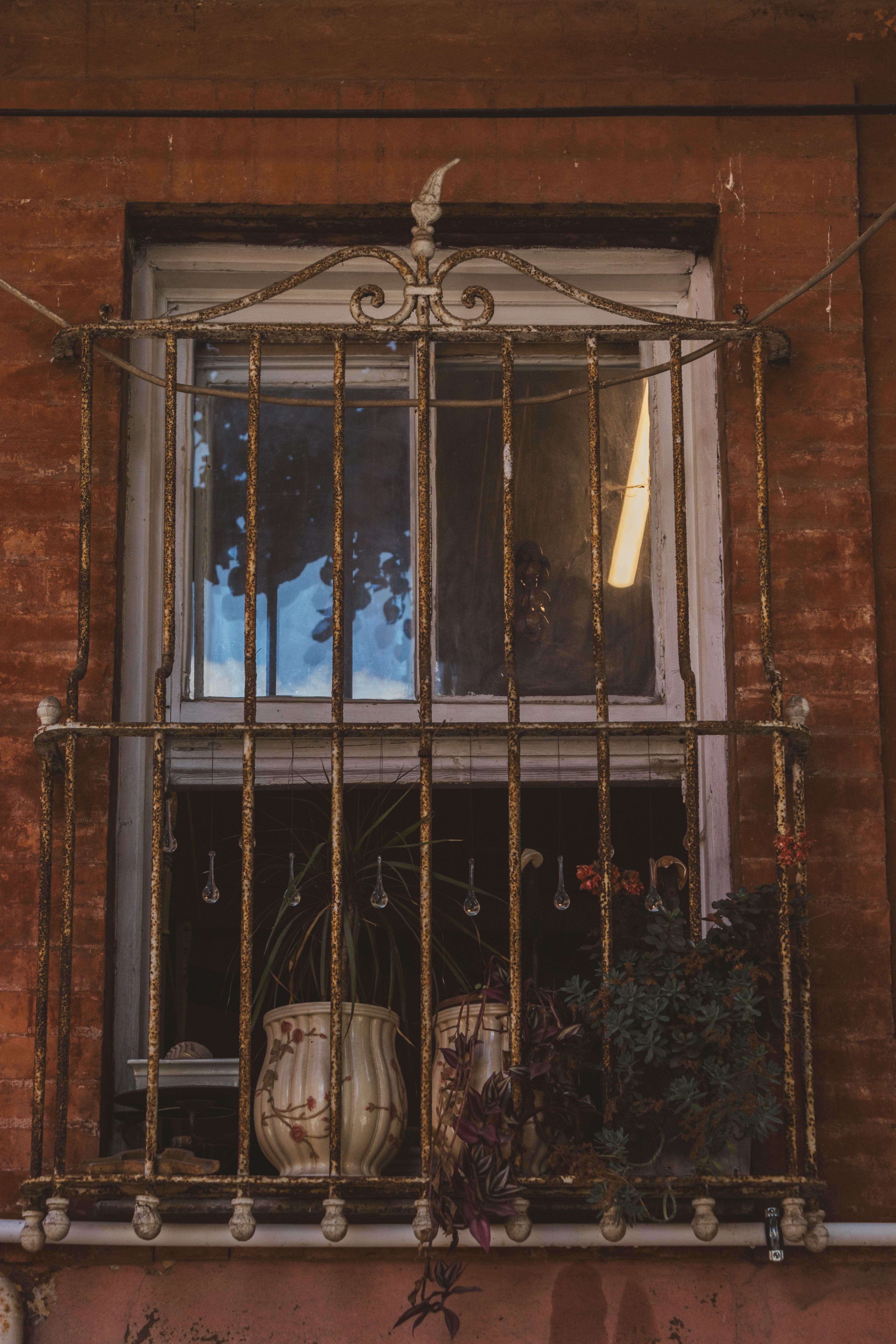 Fotomural Ventana rústica con reja de hierro ornamentada y plantas en macetas sobre pared de ladrillo rojo.