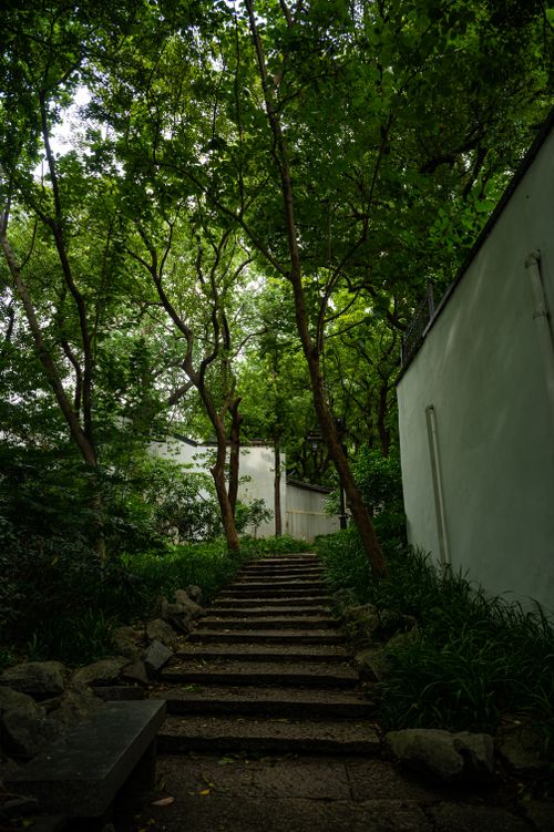 Free Peaceful stone steps amid dense greenery, ideal for meditation and escape. Stock Photo